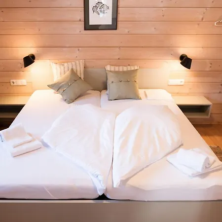 Haus Luisa By Emju Daire Schruns